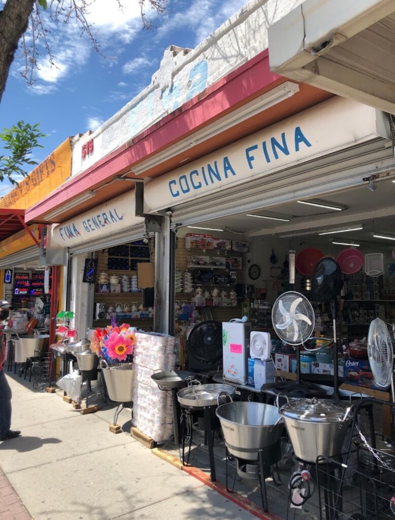 Fina General